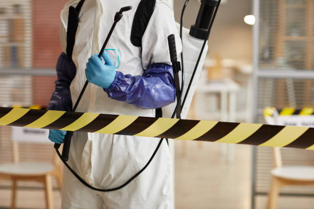 Professional Hoarding Cleanup technician working in Limerick, ME